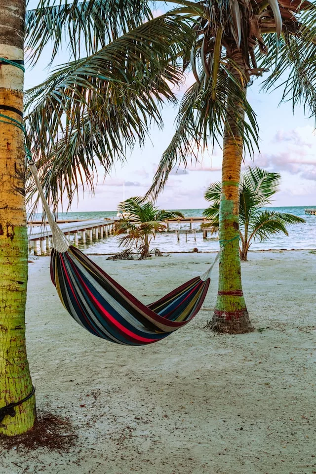 how to start hammock store